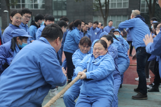 港澳最精准网站